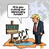 Bosque del apache cartoon