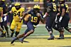 Michigan Football