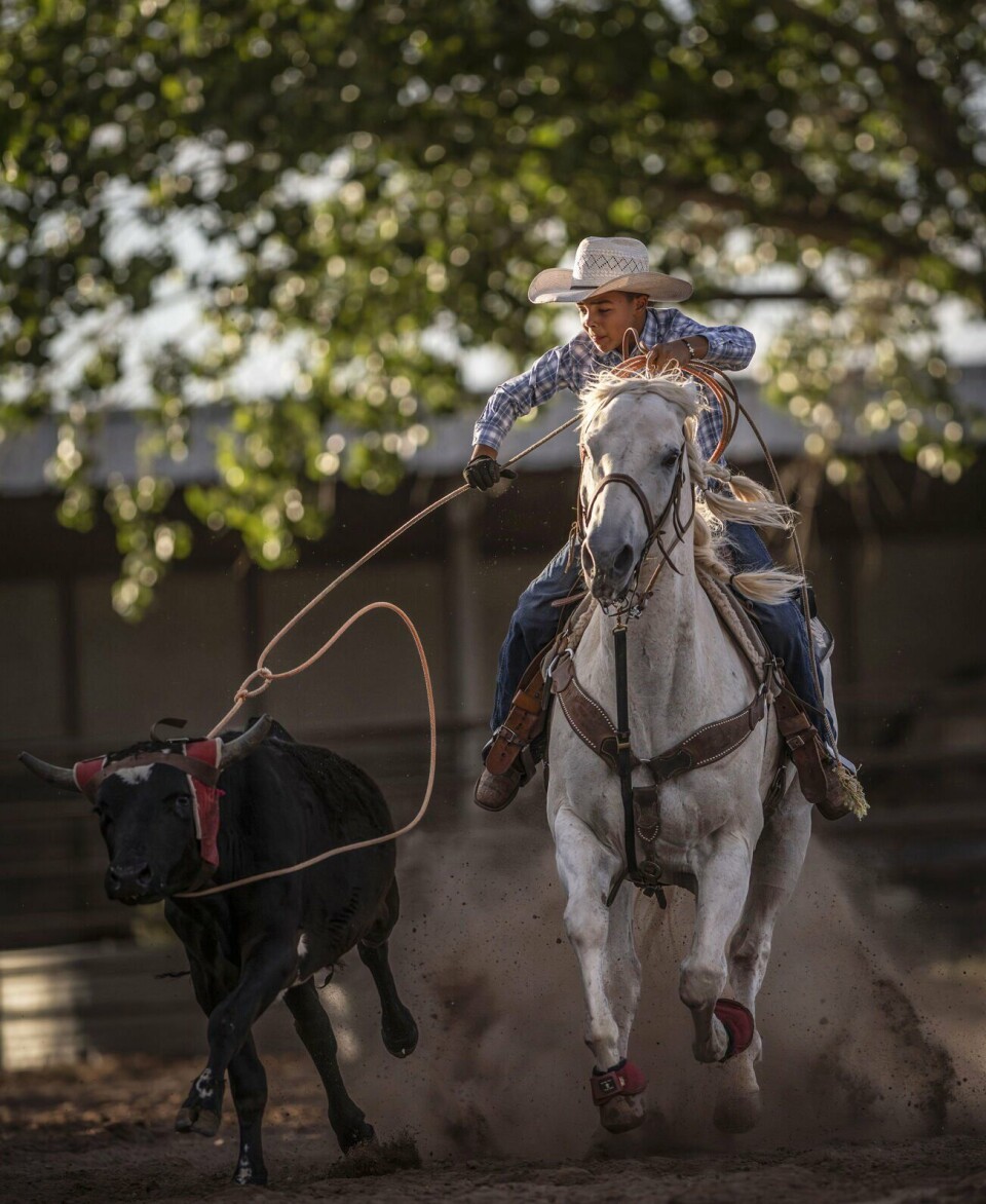 Joeper Rey Rojas From Rescue to Rodeo: Freedom Rodeo at Tamaya Stables | Multimedia ...