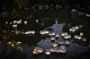 Star party, car shows and the blues: 7 events this week