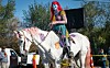 Pet parades, harvest festivals and movie nights: 7 events this week