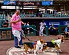 Bark in the Park