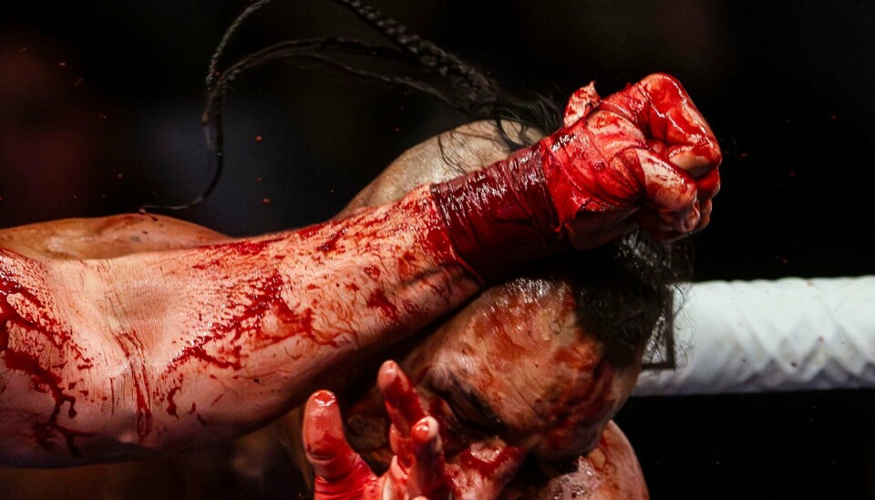 New Mexico May Ban Bare knuckle Fighting new-mexico-may-ban-bare-knuckle-fighting