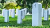 white Gravestones in a grassy cemetery