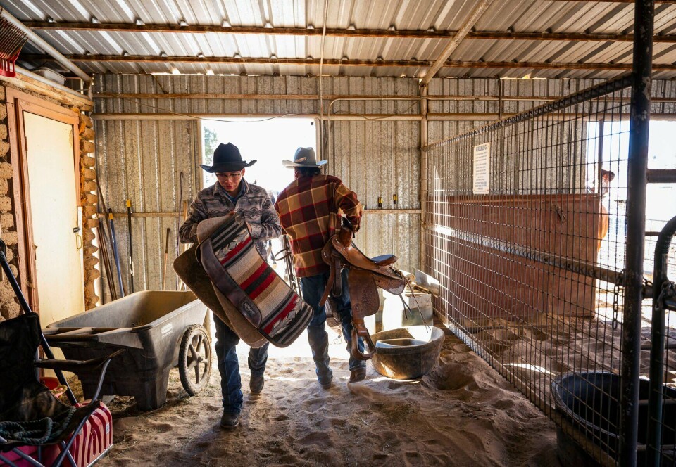 David Sammon Rodeo Bullheaded: The Sam brothers of Rio Rancho are hooked on riding bulls ...
