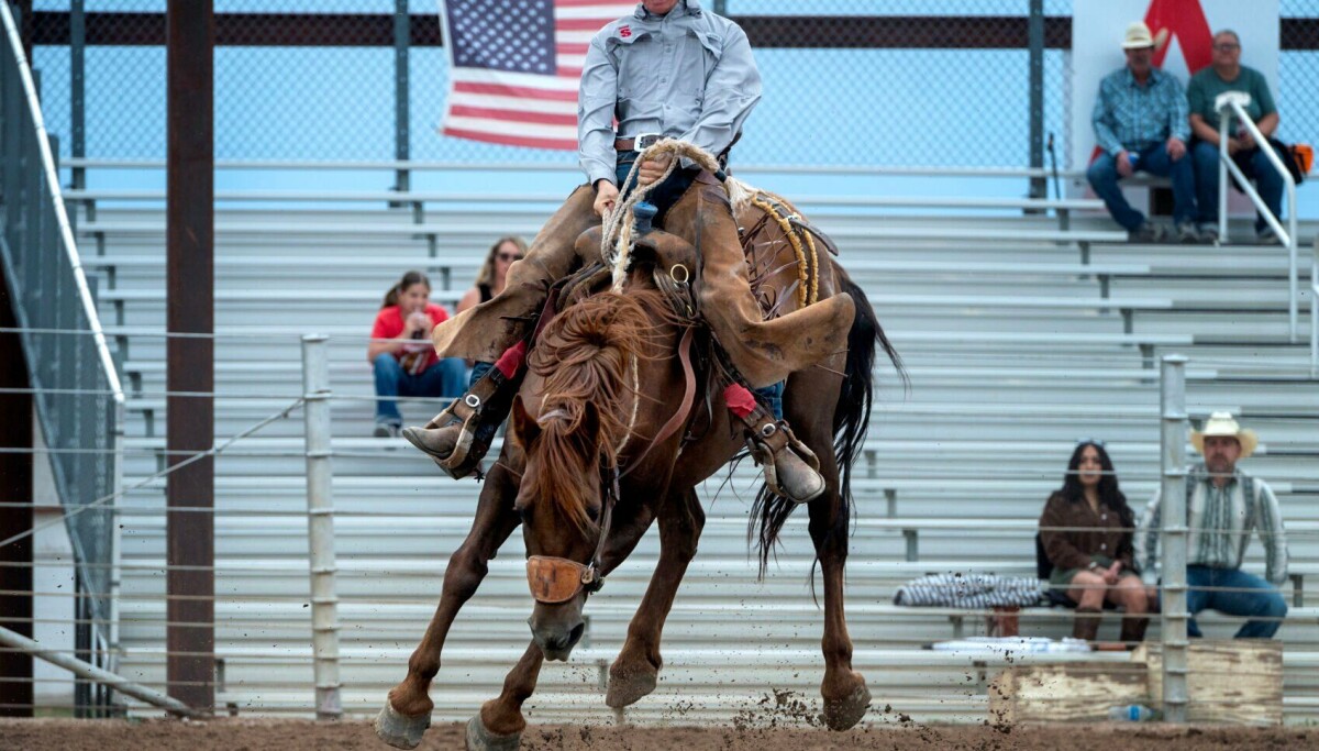 Victorville Rodeo Photos: The Estancia Valley Ranch Rodeo | Multimedia | abqjournal.com
