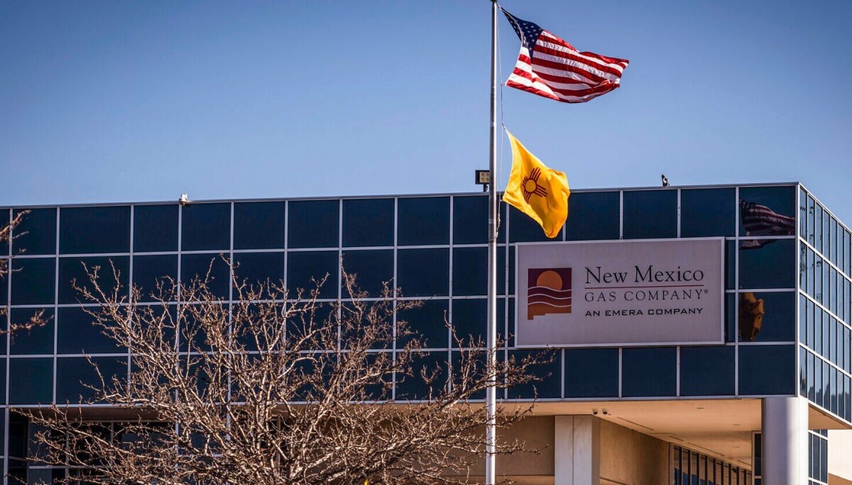 Bernhard asks regulators to strip some redactions from report on gas company sale