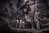 Penguin Awareness day at the BioPark Zoo