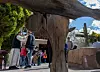 20250418-news-chimayo-4