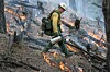 New Mexico forest service plans prescribed burns on 30,000 acres