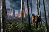 Wildland firefighting program that encouraged women to join field on pause after Trump DEI order