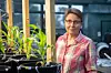 Environmental Scientist Sanna Sevanto in Greenhouse