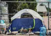 OPINION: UNM program addresses Downtown homelessness, mental health and ...