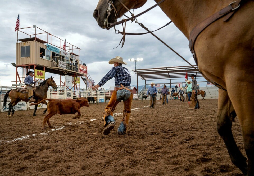 Victorville Rodeo Photos: The Estancia Valley Ranch Rodeo | Multimedia | abqjournal.com
