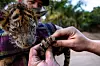 WORLD-NEWS-MEXICO-EXOTIC-PETS-4-LA