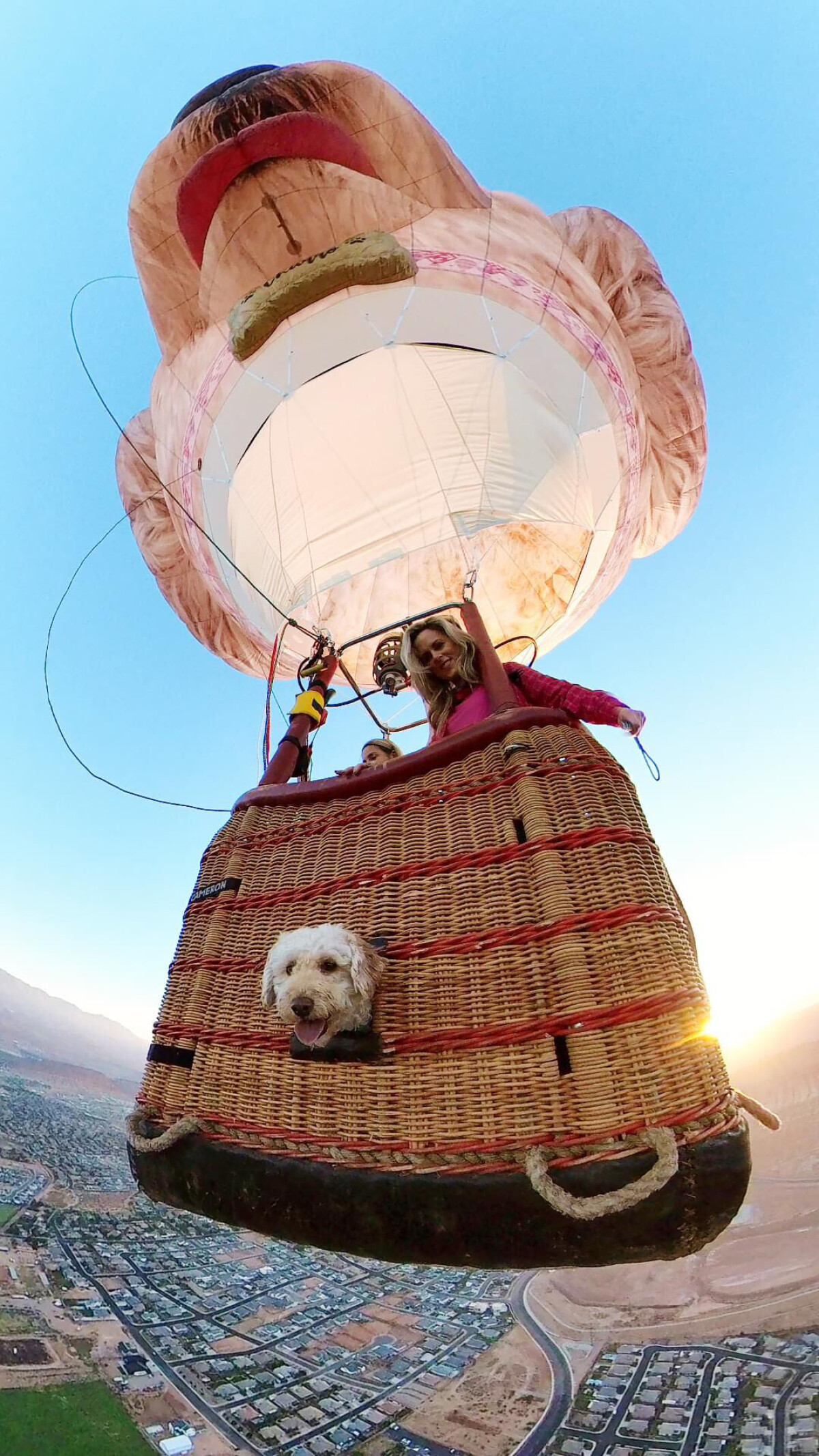 Dog is her co-pilot: This year's new special shapes include a